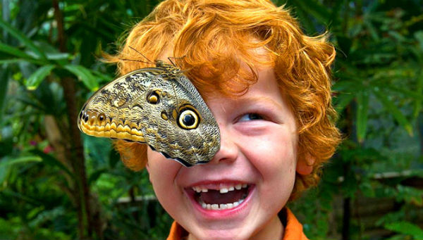 Мальчик с бабочкой на лице