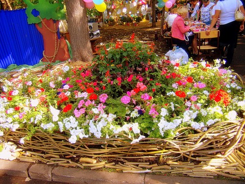 Фестиваль цветов