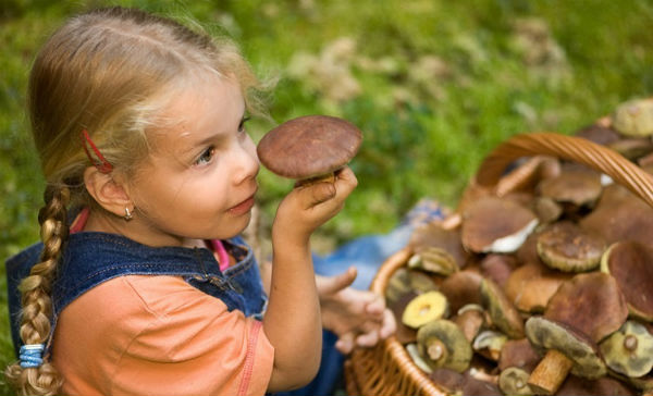девочка и грибы