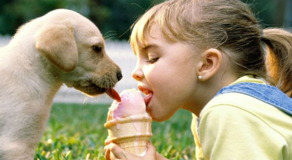 Деовчка и щенок лижут мороженое