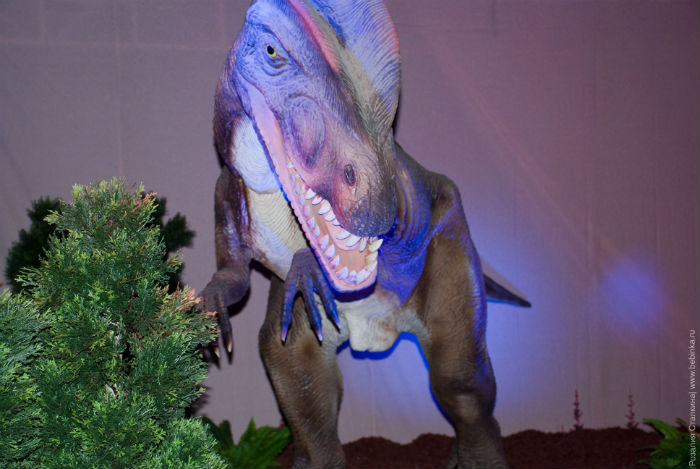 Шоу динозавров в Самаре