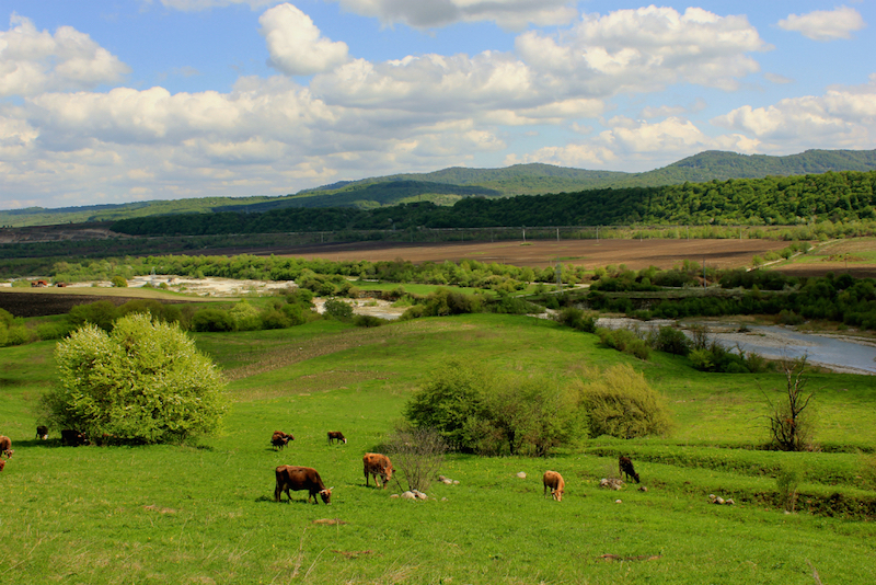 Экоферма В моих лугах