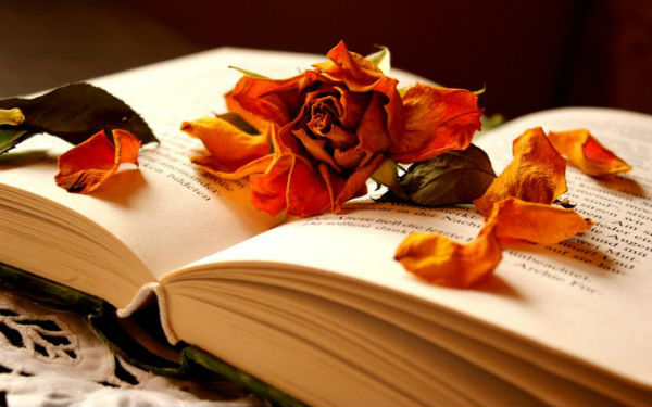 Цветы и книга