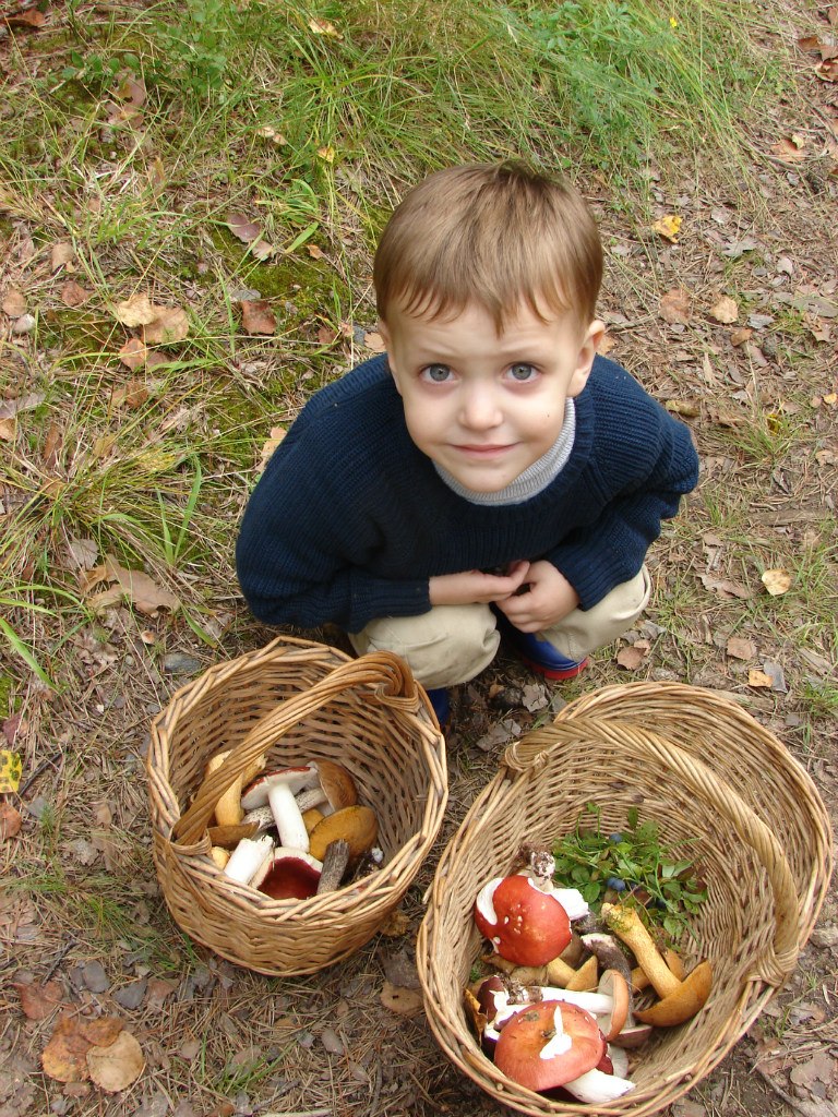 Олежка с грибами