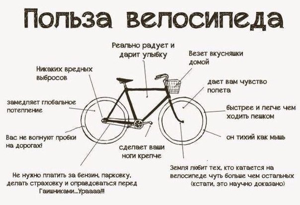 Польза велосипеда