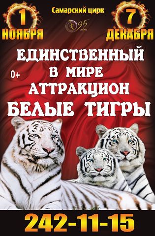 Цирк Белые тигры