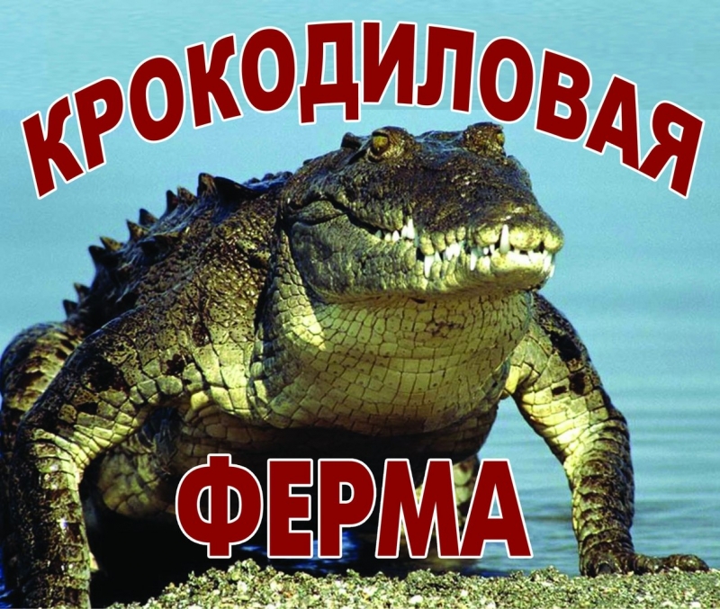 Крокодиловая ферма