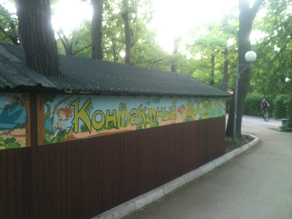 фотография