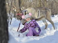 София и Снежинка в лесу